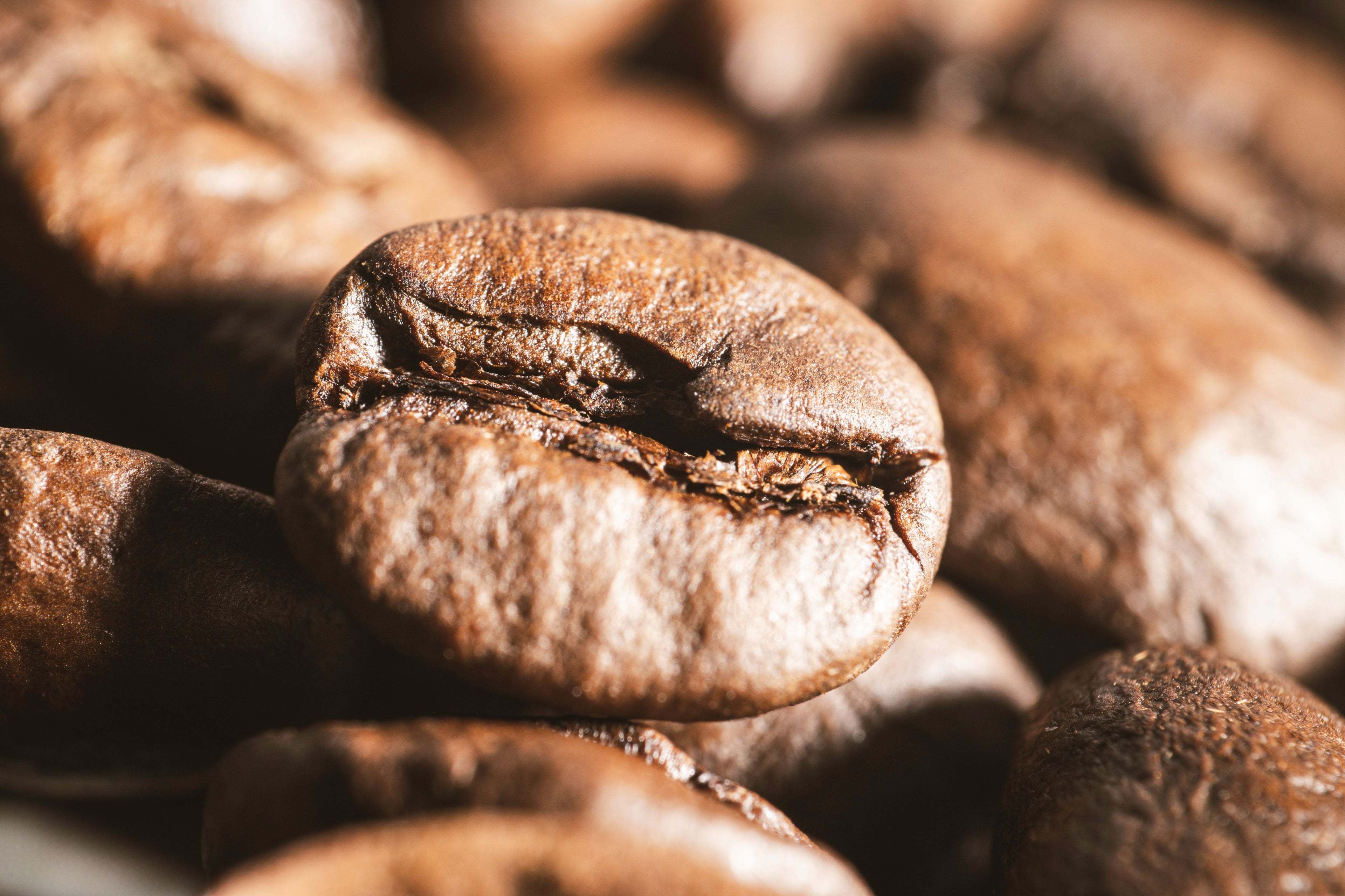 Robusta ou Arabica : ce que change vraiment un assemblage 60/40 dans ta tasse